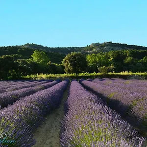 Bed & Breakfast Lo Rastelie, Suze-la-Rousse
